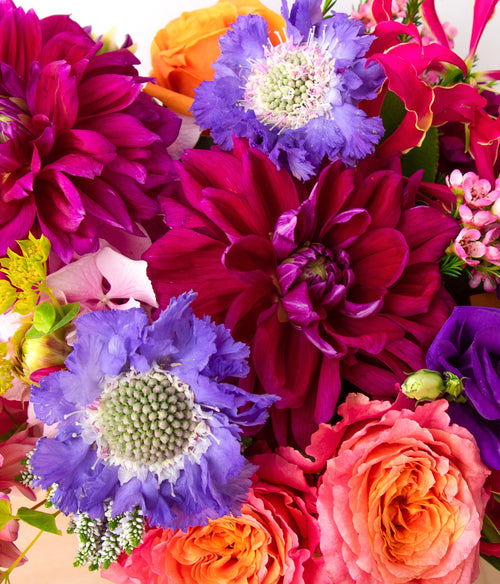 Designer's Choice - Summer Mix with Dahlias
