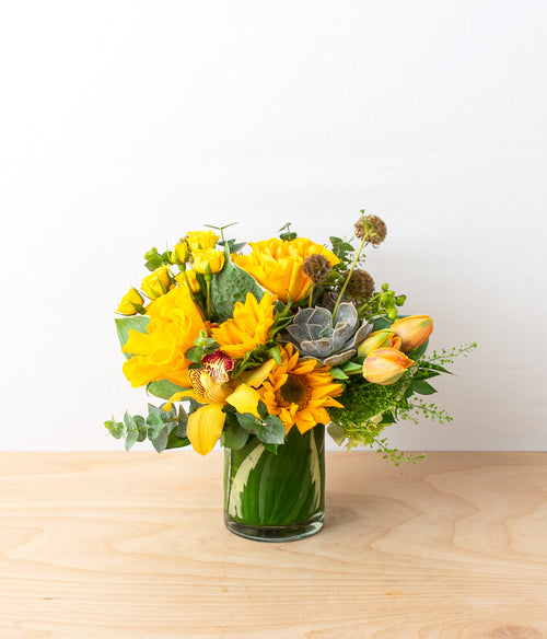 Sunflower Fields